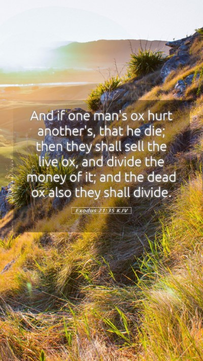 Picture 05 - Exodus 21:35 KJV Mobile Phone Wallpaper - And if one man's ox hurt another's, that he die; - Mobile Bible Verse Wallpaper