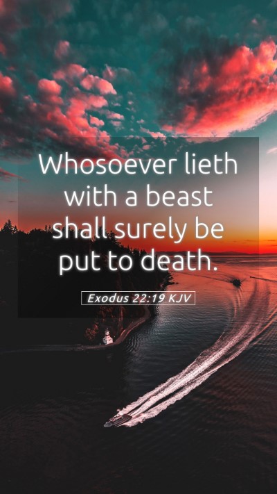 Picture 05 - Exodus 22:19 KJV Mobile Phone Wallpaper - Whosoever lieth with a beast shall surely be put - Mobile Bible Verse Wallpaper