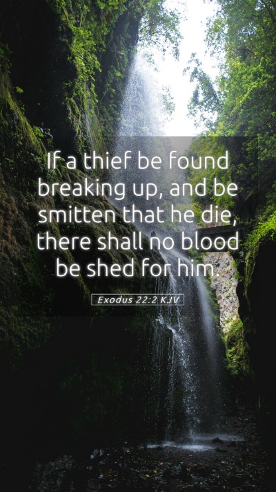 Picture 05 - Exodus 22:2 KJV Mobile Phone Wallpaper - If a thief be found breaking up, and be smitten - Mobile Bible Verse Wallpaper