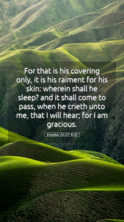 Picture 05 - Exodus 22:27 KJV Mobile Phone Wallpaper - For that is his covering only, it is his raiment - Mobile Bible Verse Wallpaper