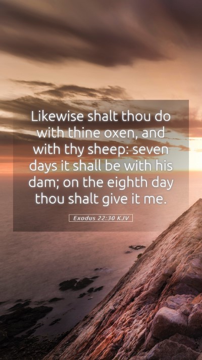 Picture 05 - Exodus 22:30 KJV Mobile Phone Wallpaper - Likewise shalt thou do with thine oxen, and with - Mobile Bible Verse Wallpaper