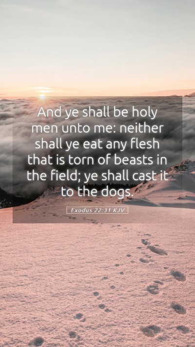 Picture 05 - Exodus 22:31 KJV Mobile Phone Wallpaper - And ye shall be holy men unto me: neither shall - Mobile Bible Verse Wallpaper