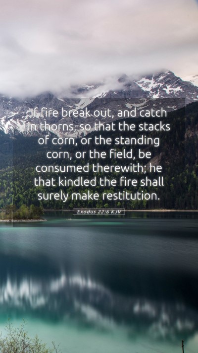 Picture 05 - Exodus 22:6 KJV Mobile Phone Wallpaper - If fire break out, and catch in thorns, so that - Mobile Bible Verse Wallpaper