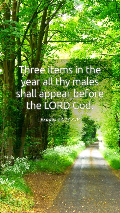 Picture 05 - Exodus 23:17 KJV Mobile Phone Wallpaper - Three items in the year all thy males shall - Mobile Bible Verse Wallpaper