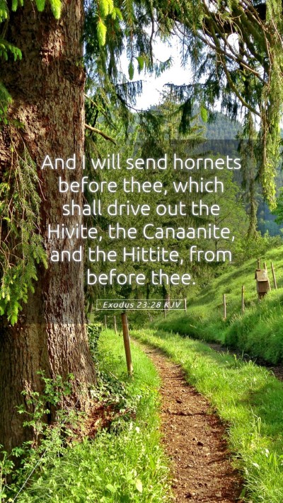 Picture 05 - Exodus 23:28 KJV Mobile Phone Wallpaper - And I will send hornets before thee, which shall - Mobile Bible Verse Wallpaper