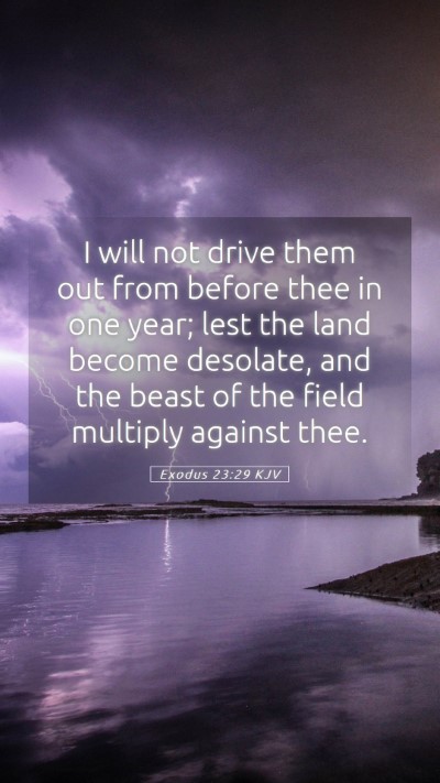 Picture 05 - Exodus 23:29 KJV Mobile Phone Wallpaper - I will not drive them out from before thee in one - Mobile Bible Verse Wallpaper