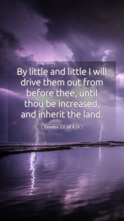 Picture 05 - Exodus 23:30 KJV Mobile Phone Wallpaper - By little and little I will drive them out from - Mobile Bible Verse Wallpaper