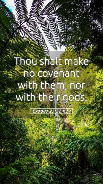 Picture 05 - Exodus 23:32 KJV Mobile Phone Wallpaper - Thou shalt make no covenant with them, nor with - Mobile Bible Verse Wallpaper