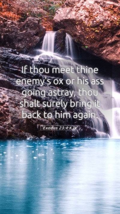 Picture 05 - Exodus 23:4 KJV Mobile Phone Wallpaper - If thou meet thine enemy's ox or his ass going - Mobile Bible Verse Wallpaper