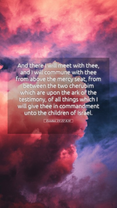 Picture 05 - Exodus 25:22 KJV Mobile Phone Wallpaper - And there I will meet with thee, and I will - Mobile Bible Verse Wallpaper
