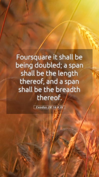 Picture 05 - Exodus 28:16 KJV Mobile Phone Wallpaper - Foursquare it shall be being doubled; a span - Mobile Bible Verse Wallpaper