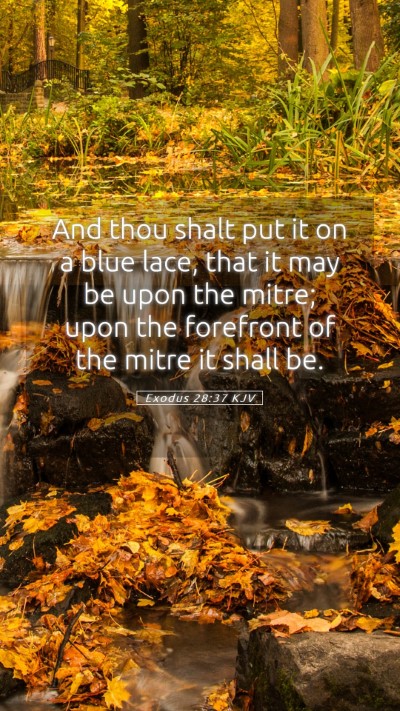 Picture 05 - Exodus 28:37 KJV Mobile Phone Wallpaper - And thou shalt put it on a blue lace, that it may - Mobile Bible Verse Wallpaper