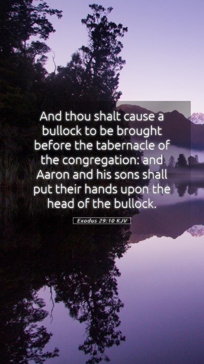 Picture 05 - Exodus 29:10 KJV Mobile Phone Wallpaper - And thou shalt cause a bullock to be brought - Mobile Bible Verse Wallpaper