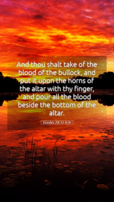 Picture 05 - Exodus 29:12 KJV Mobile Phone Wallpaper - And thou shalt take of the blood of the bullock, - Mobile Bible Verse Wallpaper