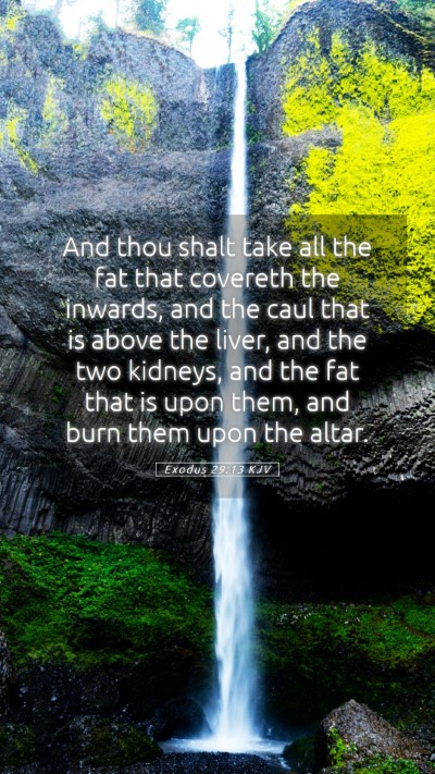 Picture 05 - Exodus 29:13 KJV Mobile Phone Wallpaper - And thou shalt take all the fat that covereth the - Mobile Bible Verse Wallpaper