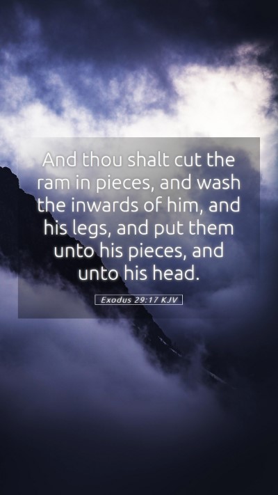 Picture 05 - Exodus 29:17 KJV Mobile Phone Wallpaper - And thou shalt cut the ram in pieces, and wash - Mobile Bible Verse Wallpaper