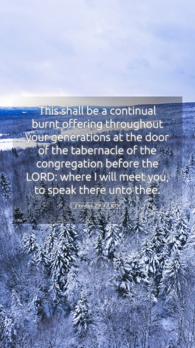 Picture 05 - Exodus 29:42 KJV Mobile Phone Wallpaper - This shall be a continual burnt offering - Mobile Bible Verse Wallpaper