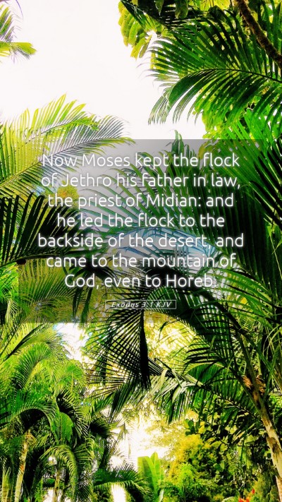 Picture 05 - Exodus 3:1 KJV Mobile Phone Wallpaper - Now Moses kept the flock of Jethro his father in - Mobile Bible Verse Wallpaper
