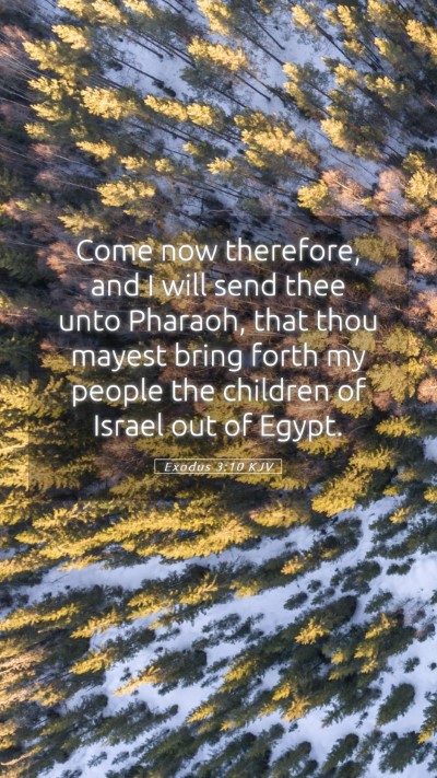Picture 05 - Exodus 3:10 KJV Mobile Phone Wallpaper - Come now therefore, and I will send thee unto - Mobile Bible Verse Wallpaper