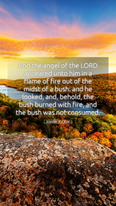 Picture 05 - Exodus 3:2 KJV Mobile Phone Wallpaper - And the angel of the LORD appeared unto him in a - Mobile Bible Verse Wallpaper