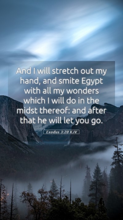 Picture 05 - Exodus 3:20 KJV Mobile Phone Wallpaper - And I will stretch out my hand, and smite Egypt - Mobile Bible Verse Wallpaper