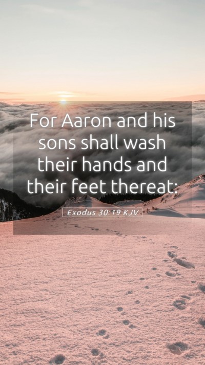 Picture 05 - Exodus 30:19 KJV Mobile Phone Wallpaper - For Aaron and his sons shall wash their hands and - Mobile Bible Verse Wallpaper