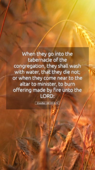 Picture 05 - Exodus 30:20 KJV Mobile Phone Wallpaper - When they go into the tabernacle of the - Mobile Bible Verse Wallpaper