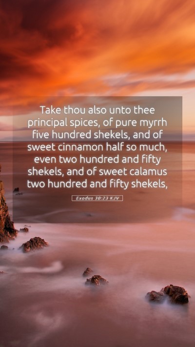 Picture 05 - Exodus 30:23 KJV Mobile Phone Wallpaper - Take thou also unto thee principal spices, of - Mobile Bible Verse Wallpaper
