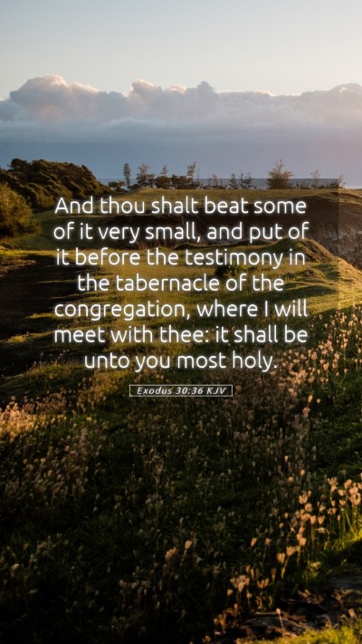 Picture 05 - Exodus 30:36 KJV Mobile Phone Wallpaper - And thou shalt beat some of it very small, and - Mobile Bible Verse Wallpaper