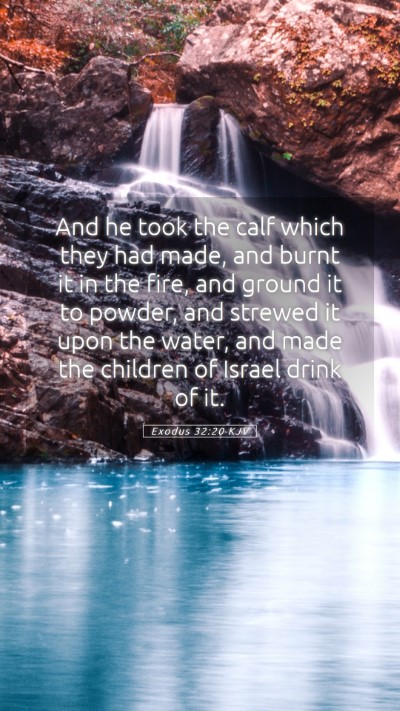 Picture 05 - Exodus 32:20 KJV Mobile Phone Wallpaper - And he took the calf which they had made, and - Mobile Bible Verse Wallpaper