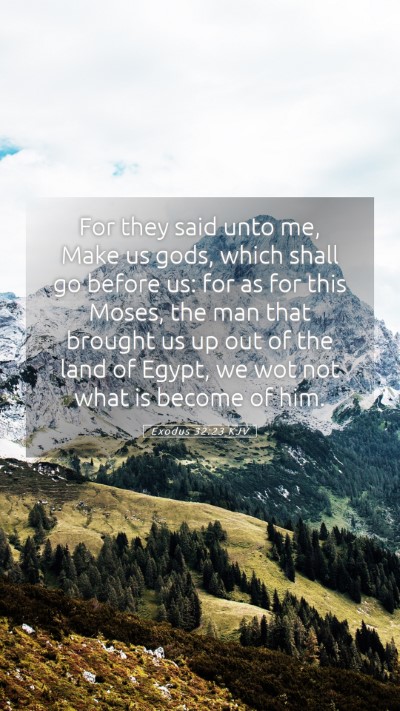 Picture 05 - Exodus 32:23 KJV Mobile Phone Wallpaper - For they said unto me, Make us gods, which shall - Mobile Bible Verse Wallpaper