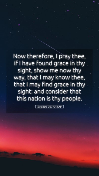 Picture 05 - Exodus 33:13 KJV Mobile Phone Wallpaper - Now therefore, I pray thee, if I have found grace - Mobile Bible Verse Wallpaper