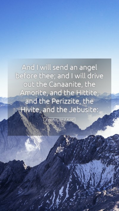 Picture 05 - Exodus 33:2 KJV Mobile Phone Wallpaper - And I will send an angel before thee; and I will - Mobile Bible Verse Wallpaper