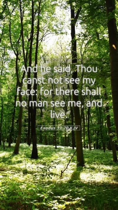 Picture 05 - Exodus 33:20 KJV Mobile Phone Wallpaper - And he said, Thou canst not see my face: for - Mobile Bible Verse Wallpaper