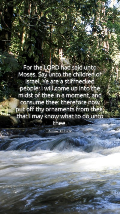 Picture 05 - Exodus 33:5 KJV Mobile Phone Wallpaper - For the LORD had said unto Moses, Say unto the - Mobile Bible Verse Wallpaper