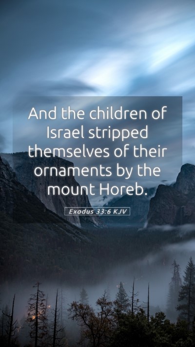 Picture 05 - Exodus 33:6 KJV Mobile Phone Wallpaper - And the children of Israel stripped themselves of - Mobile Bible Verse Wallpaper