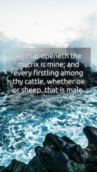 Picture 05 - Exodus 34:19 KJV Mobile Phone Wallpaper - All that openeth the matrix is mine; and every - Mobile Bible Verse Wallpaper