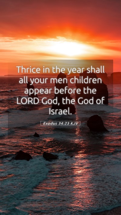 Picture 05 - Exodus 34:23 KJV Mobile Phone Wallpaper - Thrice in the year shall all your men children - Mobile Bible Verse Wallpaper