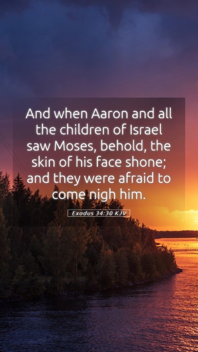 Picture 05 - Exodus 34:30 KJV Mobile Phone Wallpaper - And when Aaron and all the children of Israel saw - Mobile Bible Verse Wallpaper