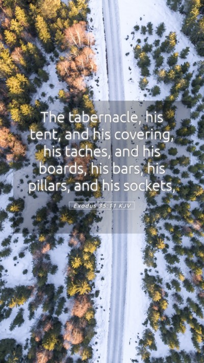 Picture 05 - Exodus 35:11 KJV Mobile Phone Wallpaper - The tabernacle, his tent, and his covering, his - Mobile Bible Verse Wallpaper