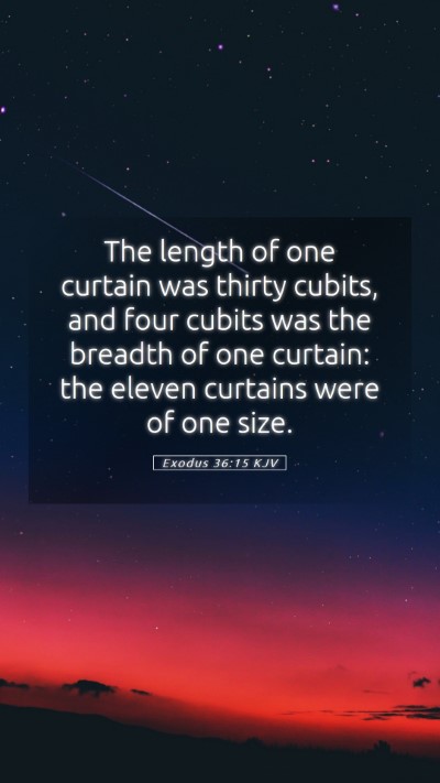Picture 05 - Exodus 36:15 KJV Mobile Phone Wallpaper - The length of one curtain was thirty cubits, and - Mobile Bible Verse Wallpaper