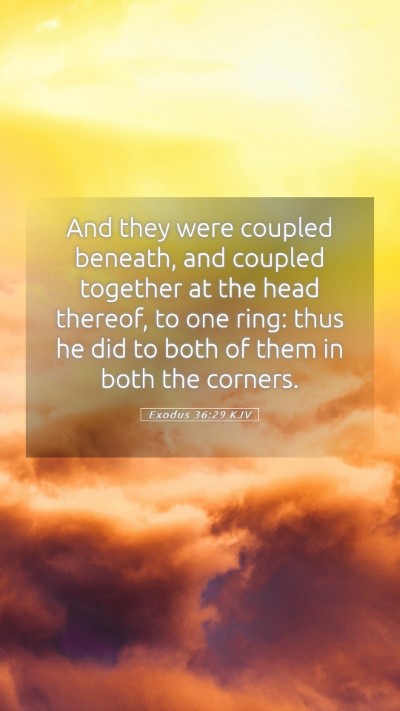 Picture 05 - Exodus 36:29 KJV Mobile Phone Wallpaper - And they were coupled beneath, and coupled - Mobile Bible Verse Wallpaper