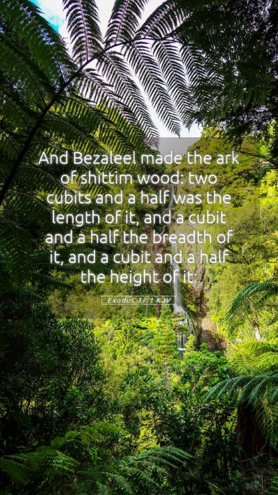 Picture 05 - Exodus 37:1 KJV Mobile Phone Wallpaper - And Bezaleel made the ark of shittim wood: two - Mobile Bible Verse Wallpaper