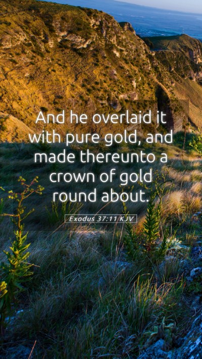 Picture 05 - Exodus 37:11 KJV Mobile Phone Wallpaper - And he overlaid it with pure gold, and made - Mobile Bible Verse Wallpaper
