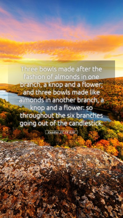 Picture 05 - Exodus 37:19 KJV Mobile Phone Wallpaper - Three bowls made after the fashion of almonds in - Mobile Bible Verse Wallpaper