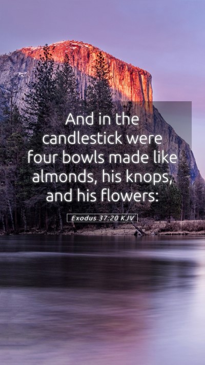 Picture 05 - Exodus 37:20 KJV Mobile Phone Wallpaper - And in the candlestick were four bowls made like - Mobile Bible Verse Wallpaper