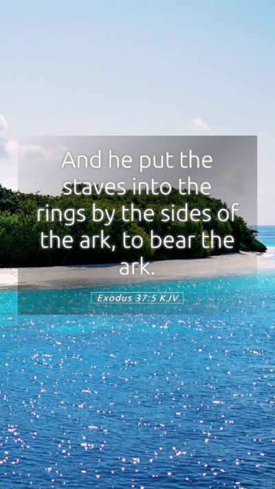 Picture 05 - Exodus 37:5 KJV Mobile Phone Wallpaper - And he put the staves into the rings by the sides - Mobile Bible Verse Wallpaper