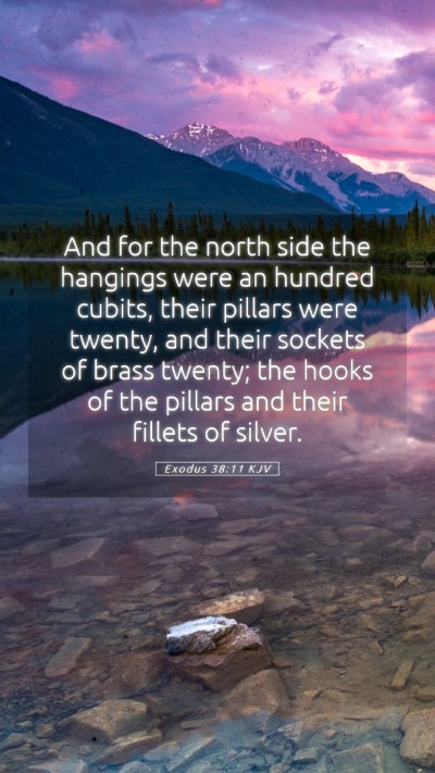 Picture 05 - Exodus 38:11 KJV Mobile Phone Wallpaper - And for the north side the hangings were an - Mobile Bible Verse Wallpaper