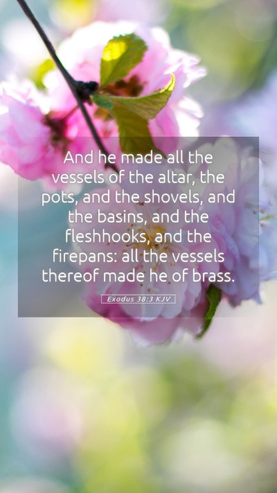 Picture 05 - Exodus 38:3 KJV Mobile Phone Wallpaper - And he made all the vessels of the altar, the - Mobile Bible Verse Wallpaper
