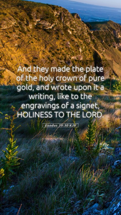 Picture 05 - Exodus 39:30 KJV Mobile Phone Wallpaper - And they made the plate of the holy crown of pure - Mobile Bible Verse Wallpaper